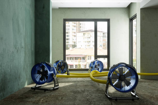 Best Water damage restoration specialists  in Independence, IA